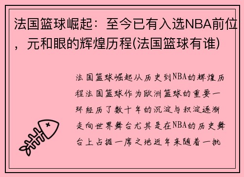 法国篮球崛起：至今已有入选NBA前位，元和眼的辉煌历程(法国篮球有谁)